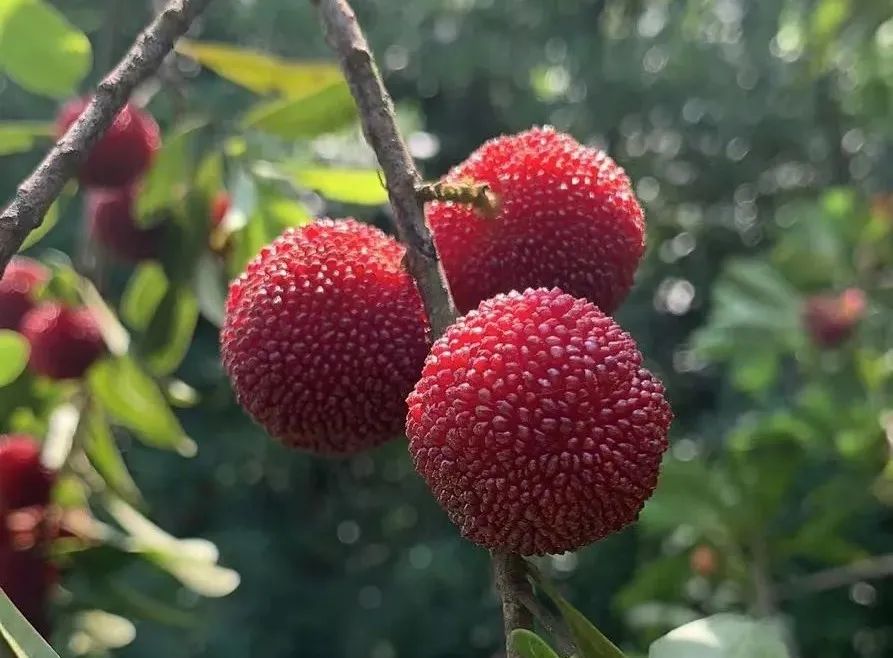 1655884038688230.jpg 03.jpg